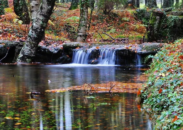 호텔 Adelaide 제어스